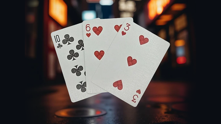 [A PEDIDO] Biker Cats Playing Cards