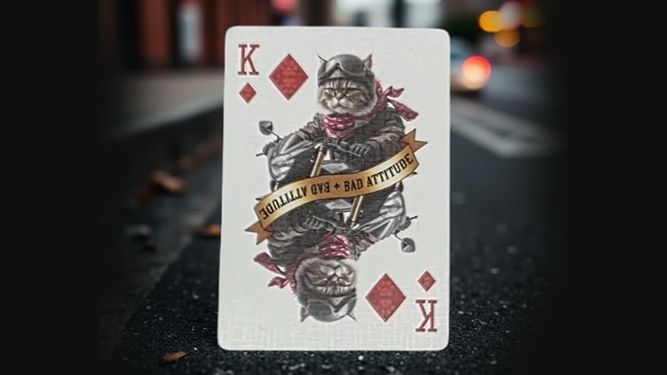 [A PEDIDO] Biker Cats Playing Cards